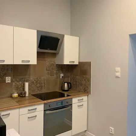 Spacious Lux Apartment, Ostrow Tumski Lägenhet
